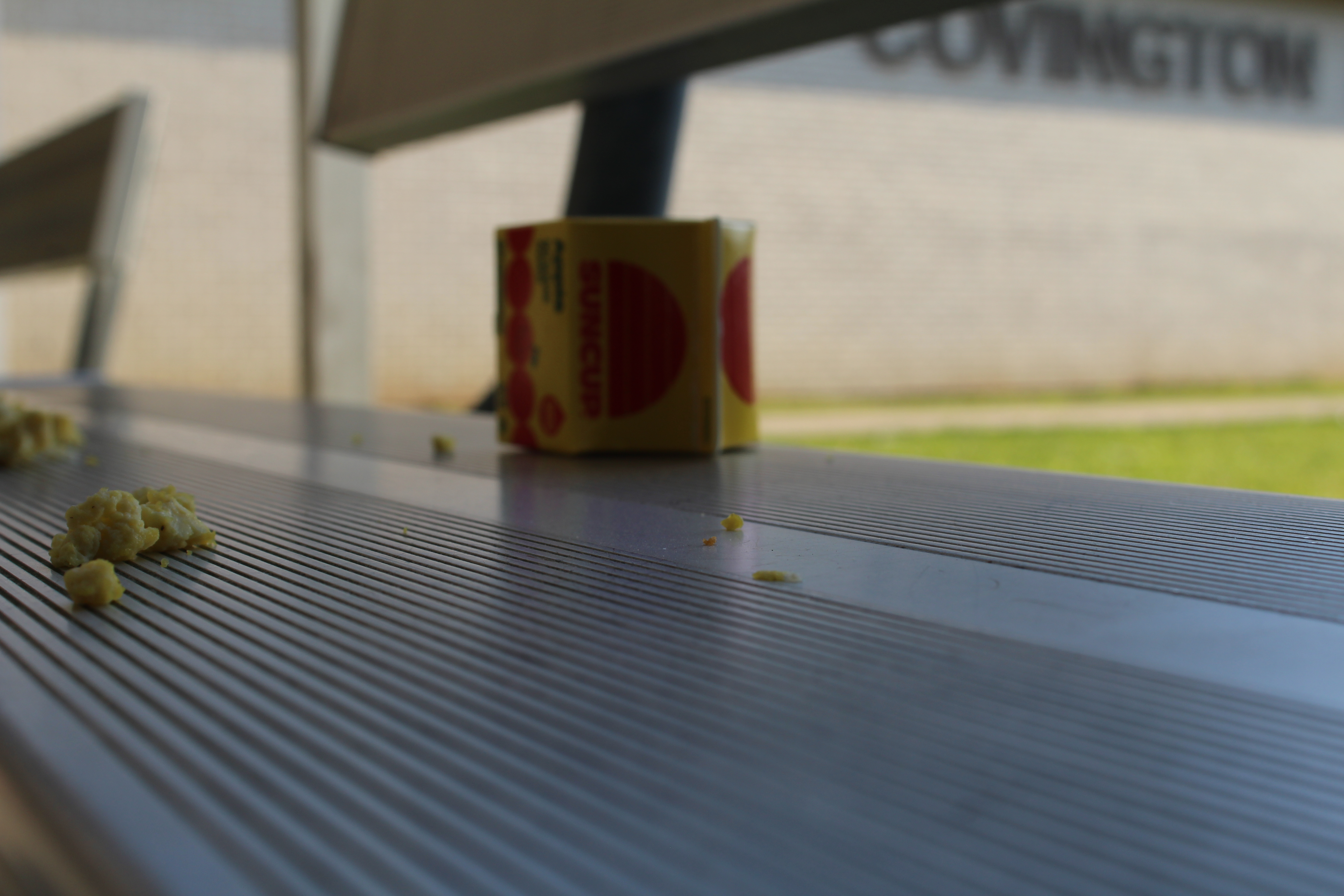 Ants POV